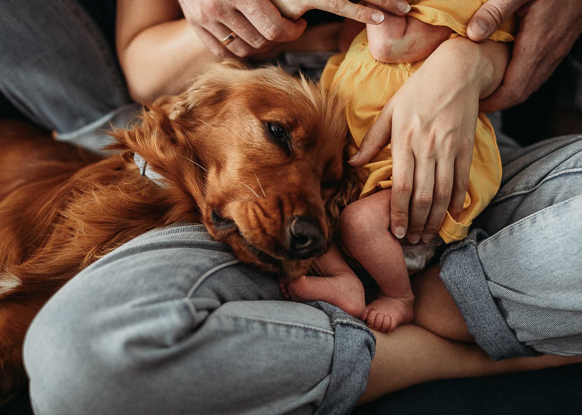 marta_godlewska_godlike_photos_fotografia_sesja_ciazowa_nowordkowa_brzuszek_maluszek_warszawa-91